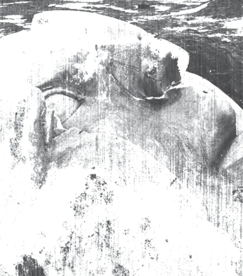 Collapse